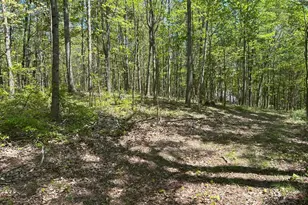9407 Beavers Ridge Rd, Piketon, OH 45661 - Photo 22