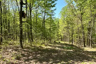 9407 Beavers Ridge Rd, Piketon, OH 45661 - Photo 18