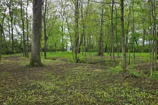 9421 Winchester Rd, Groveport, OH 43125 - Photo 48
