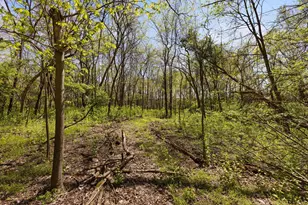 1078 State Route 257 S, Delaware, OH 43015 - Photo 58