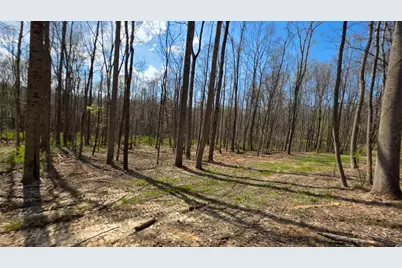 0 Dennis Road #(Tract 1 at Muskingum Woods), Zanesville, OH 43701 - Photo 2