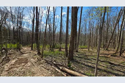 0 Dennis Road #(Tract 1 at Muskingum Woods), Zanesville, OH 43701 - Photo 8