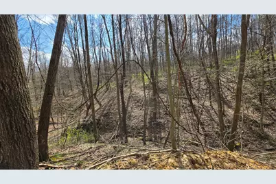 0 Dennis Road #(Tract 1 at Muskingum Woods), Zanesville, OH 43701 - Photo 10