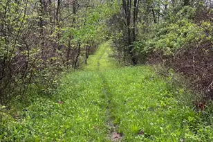 14179 Vance Rd, Mount Vernon, OH 43050 - Photo 36