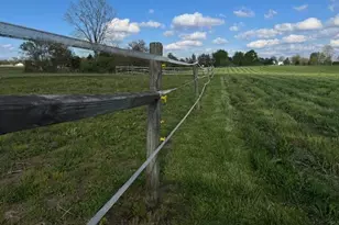 2116 Simmons Church Rd, Centerburg, OH 43011 - Photo 28