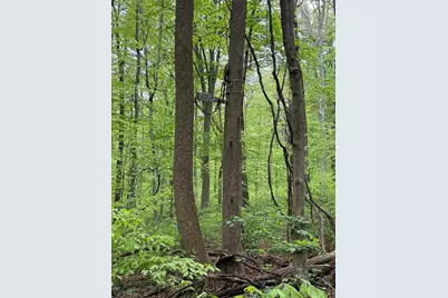 29500 Fairview Ridge Road, Logan, OH 43138 - Photo 28