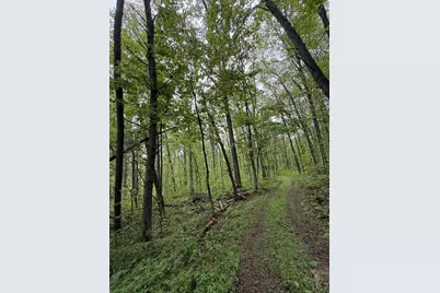 29500 Fairview Ridge Road, Logan, OH 43138 - Photo 32