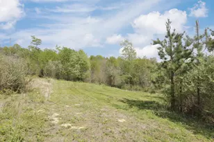 66245 Old Shurtz Rd, New Plymouth, OH 45654 - Photo 86