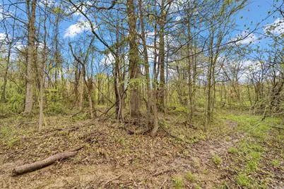 0 Lantz Road, Mansfield, OH 44906 - Photo 2