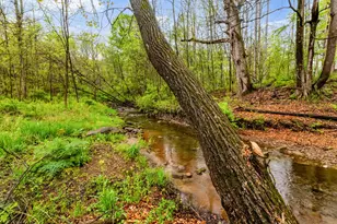 1942 Hulit Rd, Mansfield, OH 44903 - Photo 4