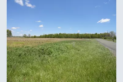 0 County Road 290 #Lot CC, Bellefontaine, OH 43311 - Photo 4