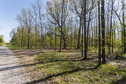 5387 Dildine Road, Delaware, OH 43015 - Photo 12