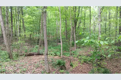 0 Sand Ridge Road #(Albany Hideaway Tract 1), Albany, OH 45710 - Photo 4