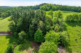 13924 George Ice Rd Rd, Glenford, OH 43739 - Photo 28