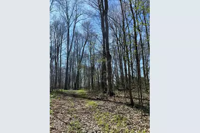 0 County Road 14, Mount Gilead, OH 43338 - Photo 16