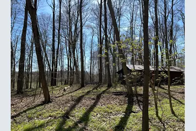 0 County Road 14, Mount Gilead, OH 43338 - Photo 22