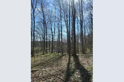 0 County Road 14, Mount Gilead, OH 43338 - Photo 28
