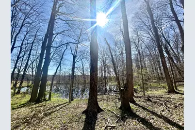 0 County Road 14, Mount Gilead, OH 43338 - Photo 26