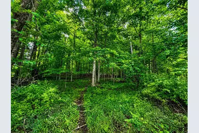 8088 County Road 30, Galion, OH 44833 - Photo 4