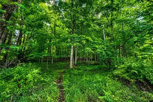 8088 Co Rd 30, Galion, OH 44833 - Photo 4