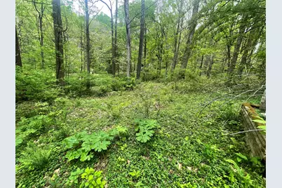 12593 Trillium Way, Rockbridge, OH 43149 - Photo 1