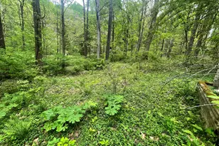 12593 Trillium Way, Rockbridge, OH 43149 - Photo 1
