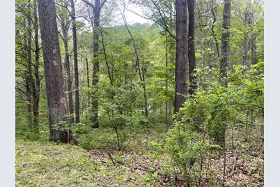 12593 Trillium Way, Rockbridge, OH 43149 - Photo 2