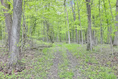 7247 Liberty Church Road, Johnstown, OH 43031 - Photo 74