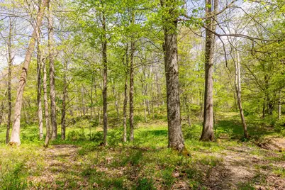 9651 Reno Lane, Hillsboro, OH 45133 - Photo 100