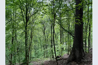 0 Little Kyger Road #(Little Kyger Tract 2), Cheshire, OH 45620 - Photo 8