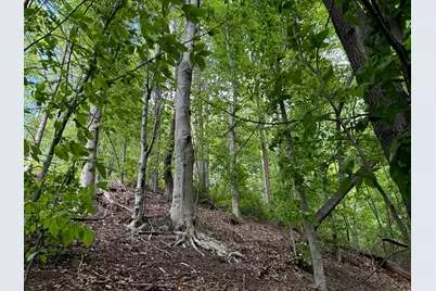 0 Little Kyger Road #(Little Kyger Tract 2), Cheshire, OH 45620 - Photo 2