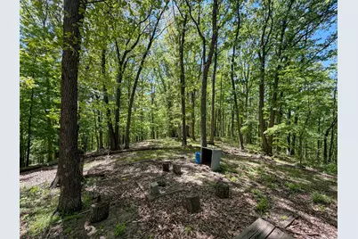 24442 Bushby Road, South Bloomingville, OH 43152 - Photo 42