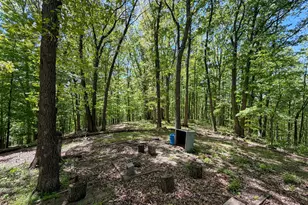 24442 Bushby Rd, South Bloomingville, OH 43152 - Photo 42