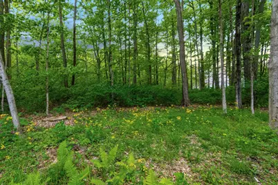 7155 Wellington Court, Dublin, OH 43016 - Photo 62