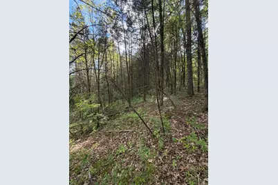 2300 Fairview Road, Bratton Township, OH 45679 - Photo 62