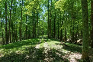 58501 US Hwy 50, McArthur, OH 45651 - Photo 62