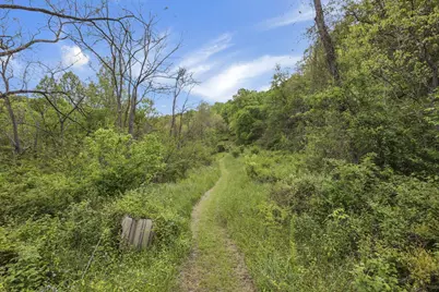 14745 Dutch Creek Road, Athens, OH 45701 - Photo 46