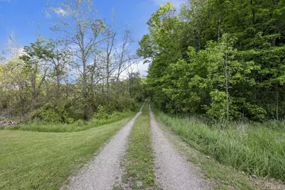 14745 Dutch Creek Road, Athens, OH 45701 - Photo 4