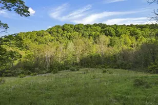14745 Dutch Creek Rd, Athens, OH 45701 - Photo 4