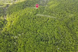 14745 Dutch Creek Rd, Athens, OH 45701 - Photo 58