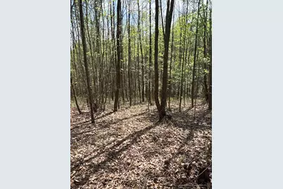 0 Pyle Road, Lucasville, OH 45648 - Photo 24