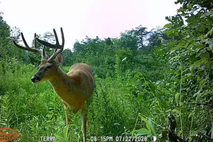 9871 Co Rd 5, Pedro, OH 45659 - Photo 52