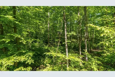 50583 Roy Miles Road, Sarahsville, OH 43779 - Photo 22