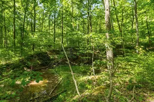 50583 Roy Miles Rd, Sarahsville, OH 43779 - Photo 20