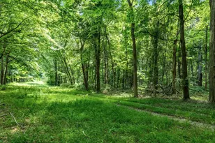 13807 Marshall Rd, Rockbridge, OH 43149 - Photo 20