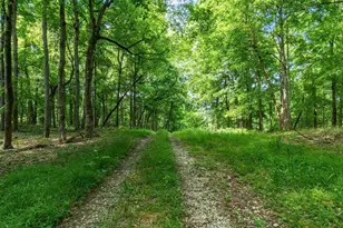 13807 Marshall Rd, Rockbridge, OH 43149 - Photo 22