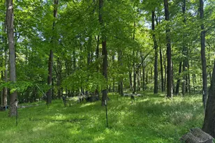 13807 Marshall Rd, Rockbridge, OH 43149 - Photo 4
