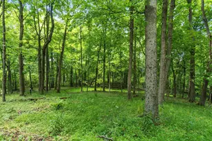13807 Marshall Rd, Rockbridge, OH 43149 - Photo 18