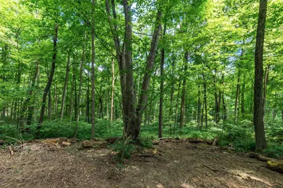 13807 Marshall Road, Rockbridge, OH 43149 - Photo 14
