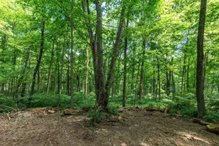 13807 Marshall Rd, Rockbridge, OH 43149 - Photo 14